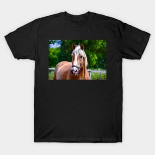 Horse Portrait T-Shirt